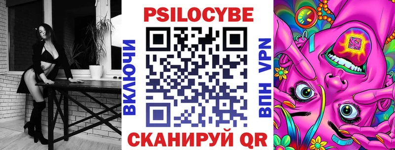 где найти наркотики  Северск  Псилоцибиновые грибы ЛСД 